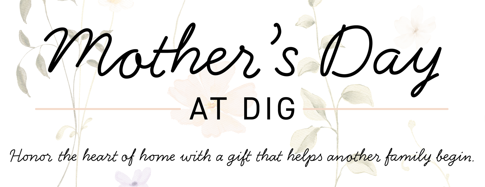 DIG Furniture Bank